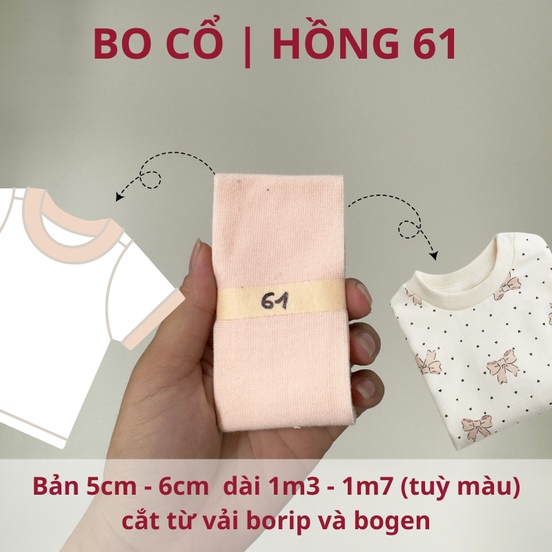 số 61