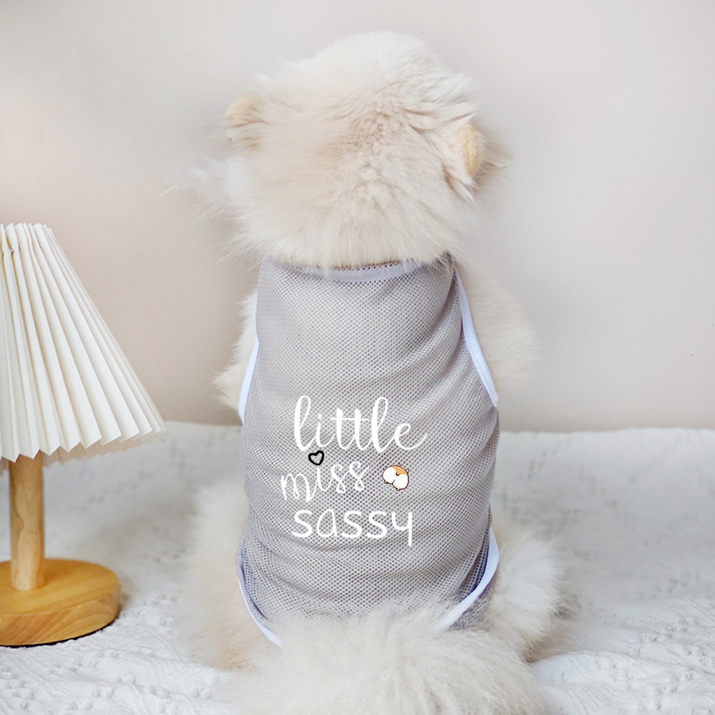 ✨ Hàng MỚI ✨ Tình Yêu Mẹ Chó Paw Họa Tiết In Hình Chó Áo Vest Lưới Thoáng Khí Quần Áo Cho Chó