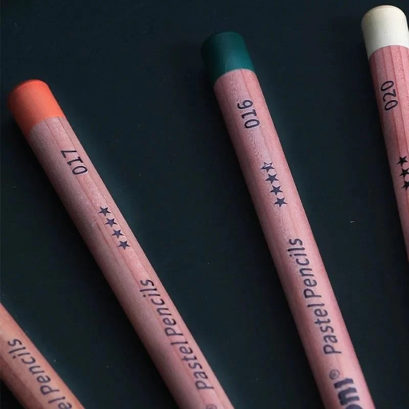 Nyoni 24 Màu Than Bút Chì Phác Thảo Chân Dung Vẽ Tay Dầu Chì Chuyên Nghiệp Nghệ Thuật Cung Cấp Bộ Sư