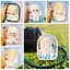 Túi ngoài trời YOLOGO, Bảo quản trong suốt nhiều màu, Đồ chơi PVC Túi trang trí búp bê 10cm Hộp trưng bày búp bê Bộ dụng cụ nhà để xe