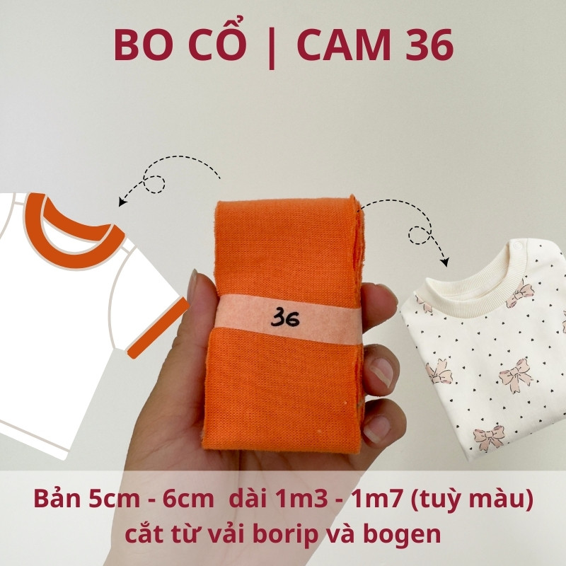 số 36