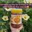 COMBO 5 HỘP (Tặng kèm đậu phụng ) Me hạt mềm rim hạt đác và khóm nhà làm(mỗi hộp 550g)