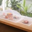 Lồng bàn，Lồng bàn lưới trong suốt，lồng bàn gấp gọn，Lồng bàn lưới chống ruồi，Đa mục đích，Dễ dàng làm sạch