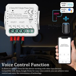 Tuya WiFi 2 Gang 80A Kẹp một pha Năng lượng mặt trời PV hai chiều Đồng hồ đo năng lượng hai chiều Điện thoại di động Điều khiển ứng dụng hiện tại Máy biến áp Lịch hẹn giờ Thiết bị tự động hóa gia đình