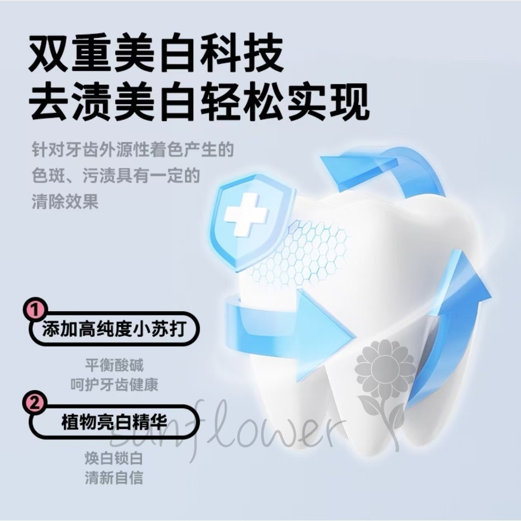 【sunflower】Viên Đánh Răng Probiotic - Khử Mùi Hơi Thở Tự Nhiên, Tiện Lợi Mang Theo