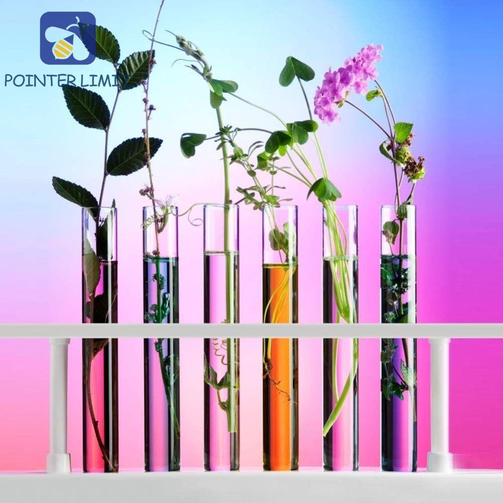 Pointer LIMIT 10 chiếc 25ml Ống nghiệm Ống lưu trữ mi di động Văn phòng ...