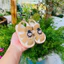 sandal bé trai dép tập đi cho bé gái êm chân chống trượt có đèn led labubu có còi ledLBB187 ( ảnh thật )