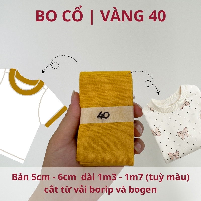 số 40