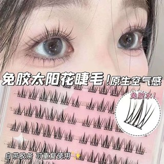 Tự dính 120 Lông mi giả hướng dương dung tích lớn Phân đoạn mô phỏng tự nhiên