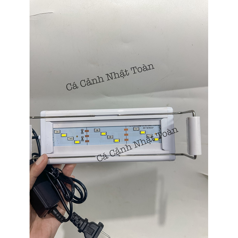 Đèn Led Kẹp Bể Cá 2 Bên XML 3 Chế Độ Màu