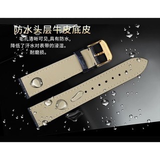 Đồng hồ Seiko / Seiko số 5 có nam nữ da thật 18 20 dây chuyền đồng hồ snk809k2 sup252 / 250z179