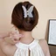 Kẹp Tóc Bướm DELMER, Kẹp Tóc Acrylic Động Vật Mờ Bướm Vuốt Tóc, Phụ Kiện Tóc Phong Cách Ins Hàn Quốc Màu Kẹo Chuối Kẹp Cá Mập Lớn Kẹp Bé Gái