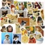 Hộp 50 Sticker Hình CHEEMS MEME Decal Phản Quang 7 Màu Halogram Chống Nước NSX Gì Cũng In | MS: 000211