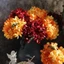 CATIYAHA Burnt Edge Hydrangea, 10 Màu Hoa Nhân Tạo Hoa Lụa, Tinh Tế DIY Trang Trí Hoa Giả Trang Trí Nhà