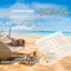 Hộp lưu trữ vỏ sò YICA, Hộp trưng bày vỏ sò từ tính Mini bằng nhựa, Bộ sưu tập vỏ sò dung lượng lớn trong suốt