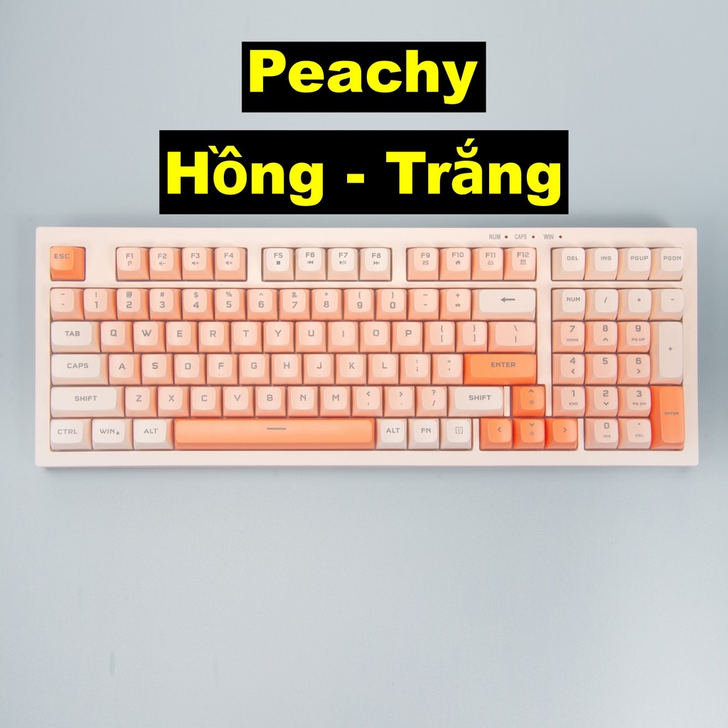 Bàn phím văn phòng P5 Paynan Peachy chống ồn kết nối cáp rời 98 phím đèn led trắng  keycap màu cổ điển | BigBuy360 - bigbuy360.vn