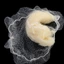 DELMER 20 Chiếc Nylon Hairnets, Mũ Tóc Giả Dây Co Giãn Mềm Lưới Tóc, Tạo Kiểu Tóc Màu Đen Thoáng Khí Bền Vô Hình Hairnet