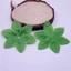 GUSTAVA 100 Chiếc Lá Hoa Hồng Mô Phỏng, Lá Vòng Hoa DIY Sắp Xếp Chống Đỡ Cây Lá Xanh Hoa Hồng, Cây Nhân Tạo Lá Hoa Hồng Trang Trí Lá Hoa Nhân Tạo
