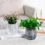 Chậu hoa để bàn BORAGETE, Chậu cây tự tưới nước hai lớp hấp thụ nước tự động, Đồ trang trí nhà cửa Chậu cây lười trong suốt bền