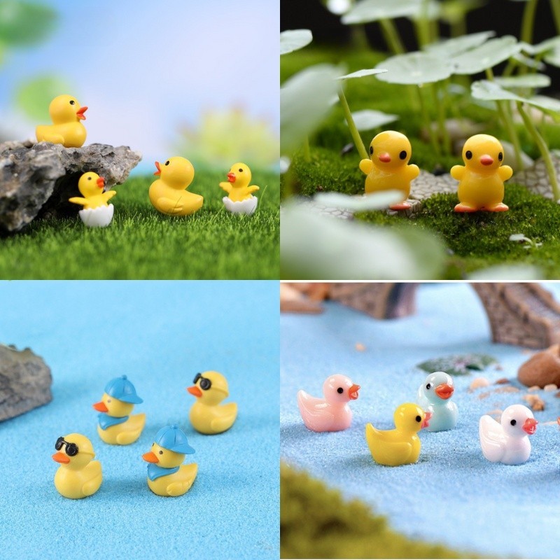Vịt Con Nghộ Nghĩnh Đáng Yêu - Trang Trí Tiểu Cảnh