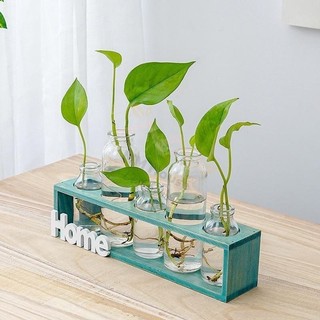 Bình Hoa Decor BUNNIES HOUSE – Thủy Tinh Kết Hợp Gỗ Sang Trọng, Trang Trí Nhà & Ban Công Đẹp Mắt