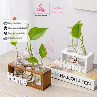 Bình Hoa Thủy Tinh Home Phối Gỗ Myd.23 Trồng Cây Thủy Canh Cắm Hoa Decor Trang Trí Nhà, Ban Công