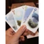 Boardgame Petrichor trò chơi chính hãng Tigar