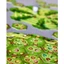 Boardgame Applejack Trò Chơi Thu Hoạch Vườn Táo Chính Hãng Nội Địa Trung Tigar
