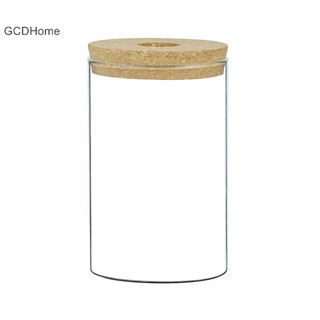 Gcdhome Chậu hoa trong suốt Thủy tinh giả Chậu hoa không đất Bình hoa nhà HOT