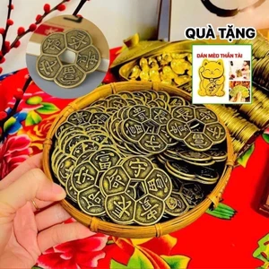 Xu Hoa Mai Kim Tài Đã Khai Quang Xin Lộc Phong Thuỷ May Mắn Bình An Tài Lộc Decor Trang Trí