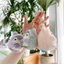 Móc khóa búp bê chim cánh cụt SMILE, Đồ chơi hoạt hình sang trọng Vòng chìa khóa, Sáng tạo dễ thương Búp bê sang trọng Túi đi học Móc khóa nam nữ