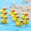 Hoạt Hình Sáng Tạo Vịt Vàng Nhỏ Rêu Micro Phong Cảnh Làm Vườn Trang Trí Phong Cảnh Thủy Sinh Trang Trí Tự Làm Thịt Trang Trí Nhựa Thủ Công