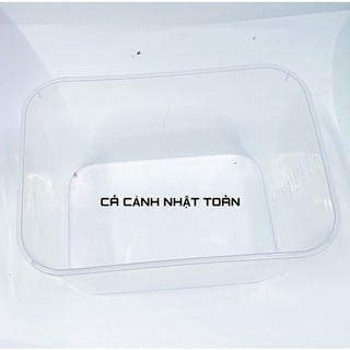 Khay nhựa nuôi cá 7 lít (30x22x16cm) màu trong suốt