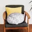 YUJUNI Blob Seal Gối, Mềm Mại Dễ Thương Cói Đồ Chơi Sang Trọng, Hợp Thời Trang PP Cotton Mũm mĩm Thú Nhồi Bông Lớn Đồ Chơi Sang Trọng Trẻ Em