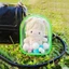 Túi ngoài trời YOLOGO, Bảo quản trong suốt nhiều màu, Đồ chơi PVC Túi trang trí búp bê 10cm Hộp trưng bày búp bê Bộ dụng cụ nhà để xe