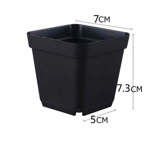 COMBO 10 CHẬU NHỰA VUÔNG, Chậu trồng hoa bằng nhựa dày dặn có, thích hợp trồng sen đá, tai thỏ FETA