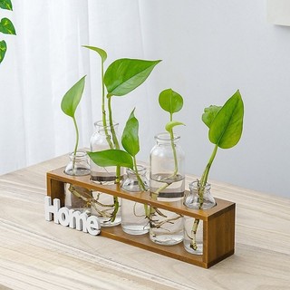 Bình Hoa Decor BUNNIES HOUSE – Thủy Tinh Kết Hợp Gỗ Sang Trọng, Trang Trí Nhà & Ban Công Đẹp Mắt