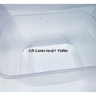 Khay nhựa nuôi cá 7 lít (30x22x16cm) màu trong suốt