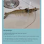 10 Chiếc Móc Cá Thép carbon Cao, Giun Không Cỏ Móc Đơn Sống Mồi Tôm Móc, Giun Mềm Pickerel Thế Hệ Thứ Ba Câu Cá Câu Cá Biển