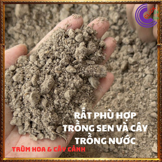 2ký ĐẤT TRỒNG SEN ĐẤT PHÙ SA KHỬ PHÈN🕰Siêu Thị Hoa Và Cây Giống