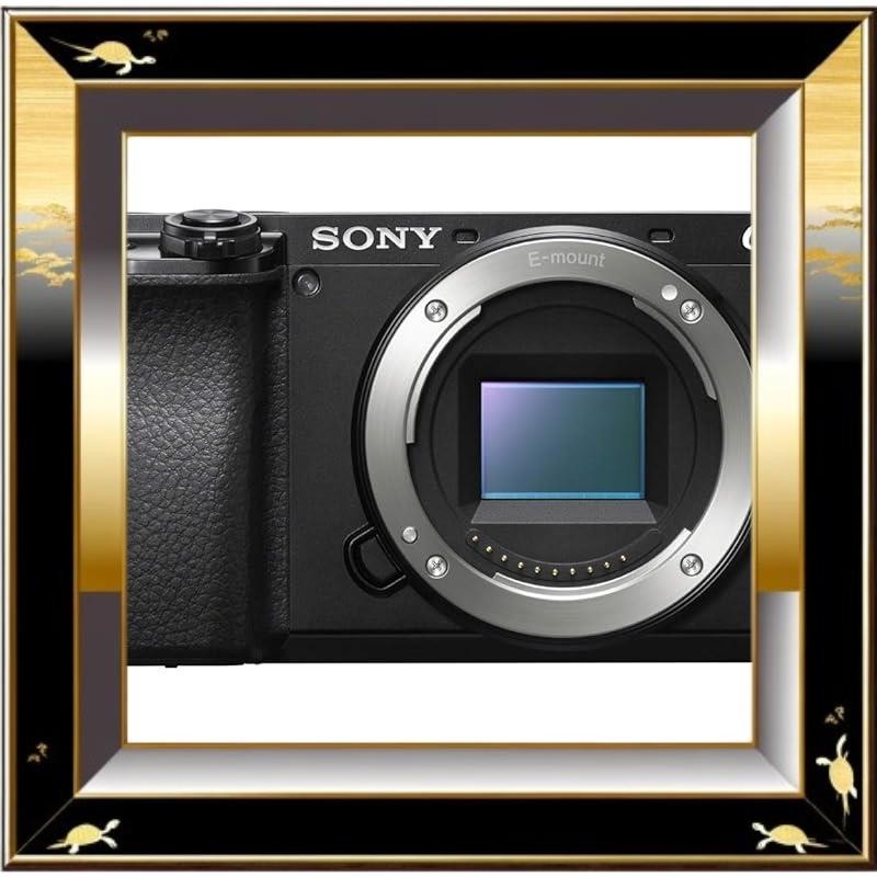 Sony mirrorless camera α6100 body black ILCE-6100 B, 11 frames per ...