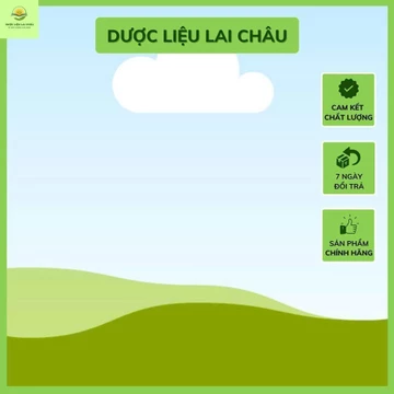 Trà bồ công anh thanh nhiệt, giải độc, làm sạch cơ thể, làm mát sữa, chống tắc tia sữa [01 kg] I Kho thảo dược 24h