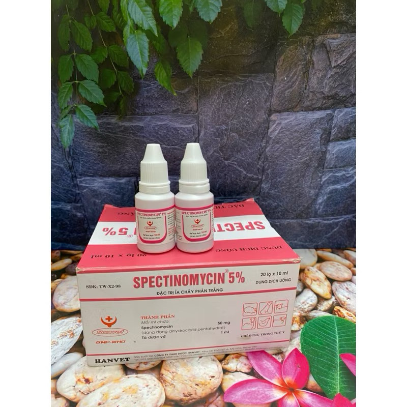 Spectinomycin 5% phòng ỉa chảy hô hấp cho chó mèo Pet-1989 | Shopee ...