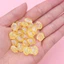 20 Chiếc Acrylic Phong Cách Đại Dương Màu Sắc Hỗn Hợp AB Vỏ Rời Hạt DIY Vòng Cổ Handmade Phụ Kiện Trang Sức