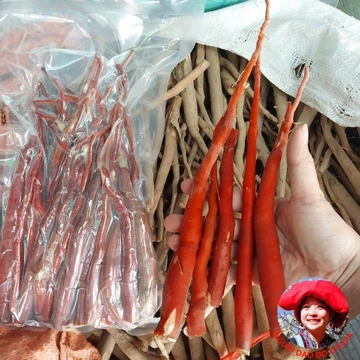 Sâm cau đỏ rừng tươi Tây Bắc ngâm rượu loại 1 (1kg), đã làm sạch ủ rượu hút chân không, giúp tăng cường sinh lý nam