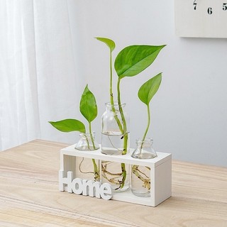 Bình Hoa Decor BUNNIES HOUSE – Thủy Tinh Kết Hợp Gỗ Sang Trọng, Trang Trí Nhà & Ban Công Đẹp Mắt
