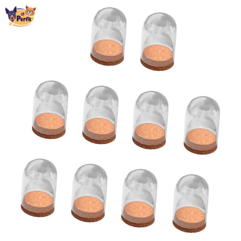 Perfk 10 Cái Mái vòm trưng bày trong suốt có đế gỗ Tấm che kính chống bụi trang trí