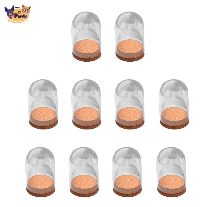 Perfk 10 Cái Mái vòm trưng bày trong suốt có đế gỗ Tấm che kính chống bụi trang trí