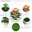 CATIYAHA Cây xanh Anthurium giả, Bàn tay đỏ nhân tạo bằng nhựa 35 / 50CM, Mô phỏng cây thảo mộc lớn Trang trí phòng khách Anthurium
