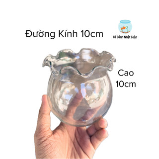 Chậu Thủy Tinh Tròn Mini Cao 10cm, Đường Kính 10cm